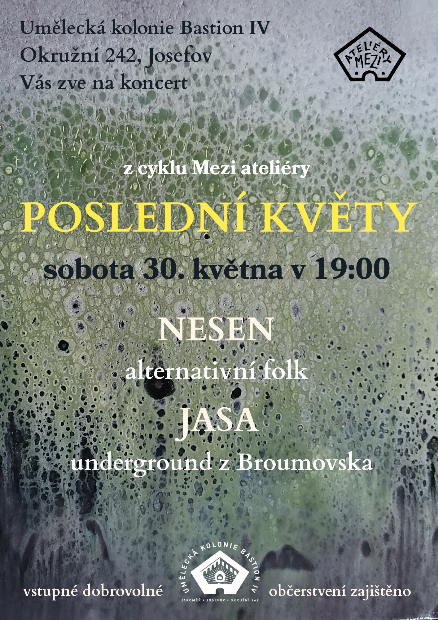 Poslední květy