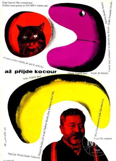 Až přijde kocour